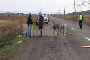 Accidentul s-a petrecut pe raza comunei Udești