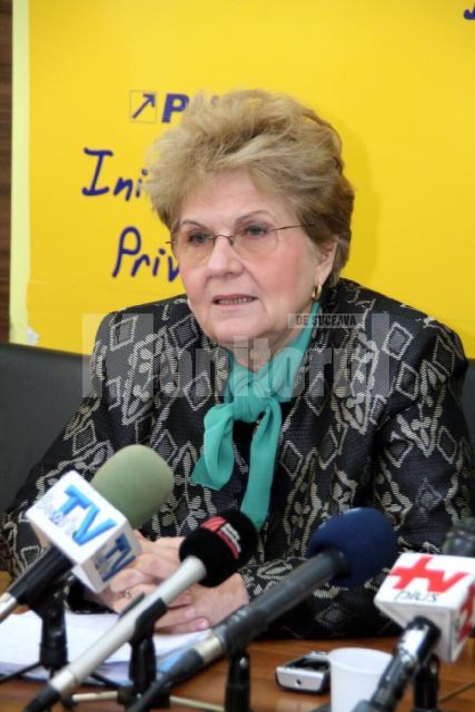 Mariana Câmpeanu: „Acest popor român, care este chemat tot timpul la vot, nu a fost întrebat dacă este de acord să se îndatoreze în acest hal”