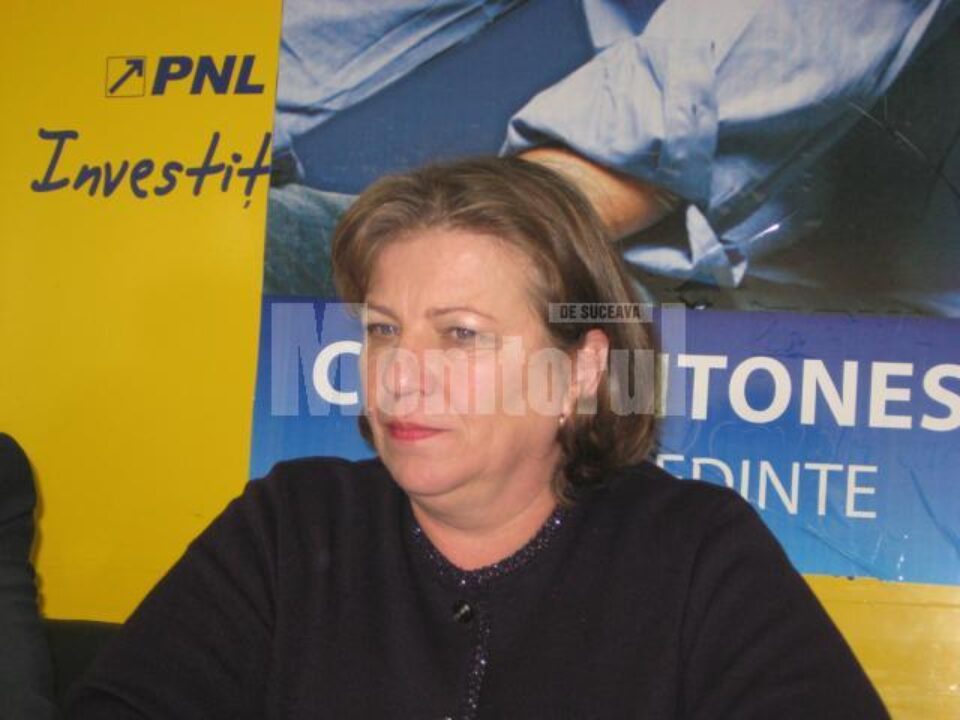 Norica Nicolai: România este izolată în plan european
