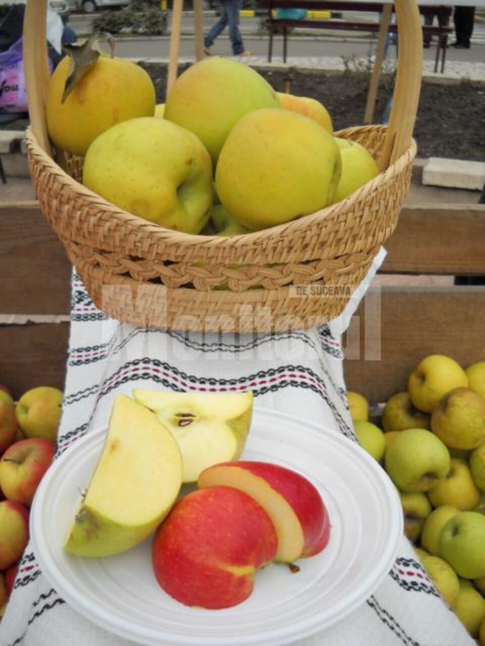 Producția record de mere de la Fălticeni nu are piață de desfacere