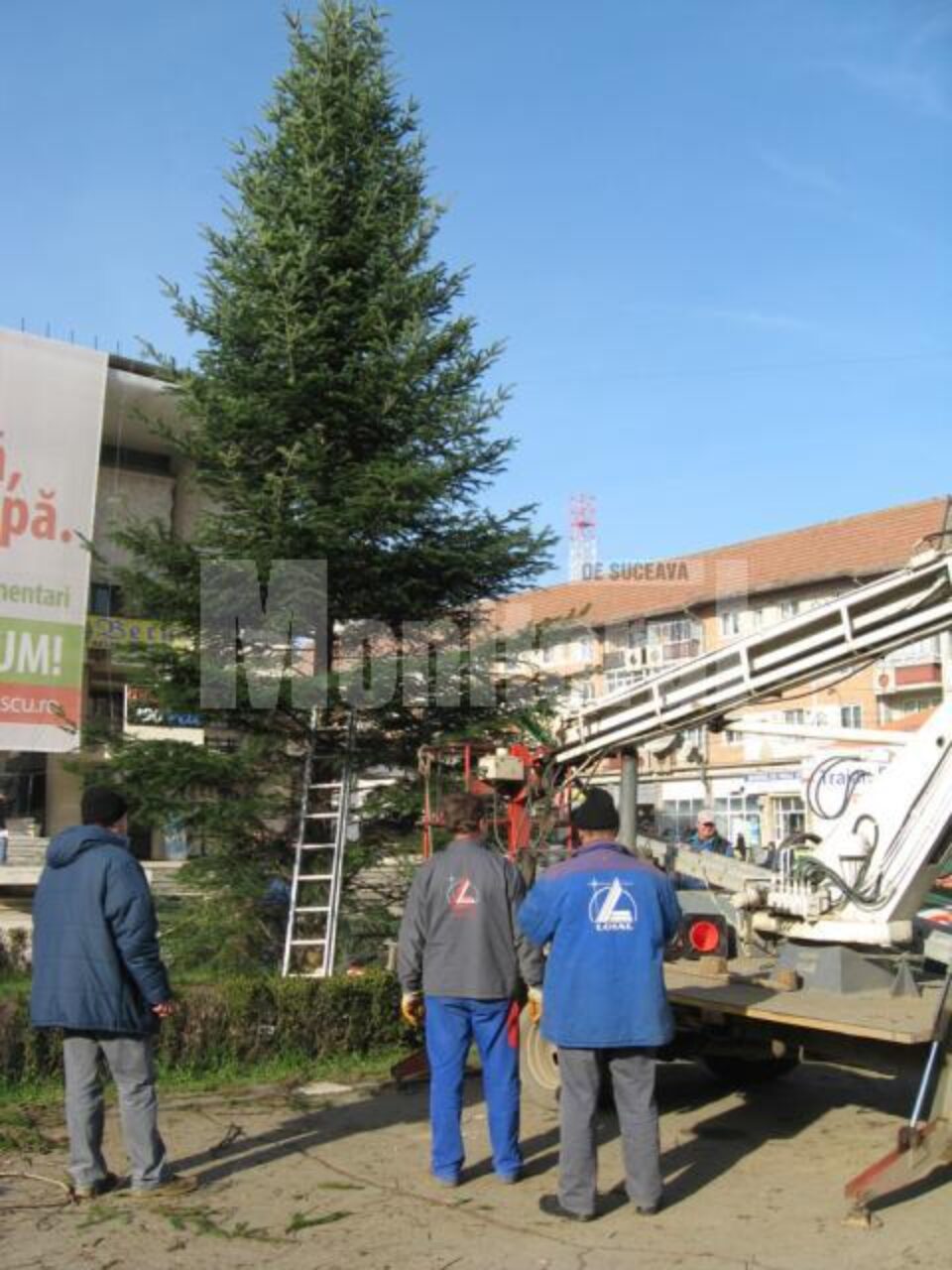 Bradul de Crăciun a fost montat ieri dimineață