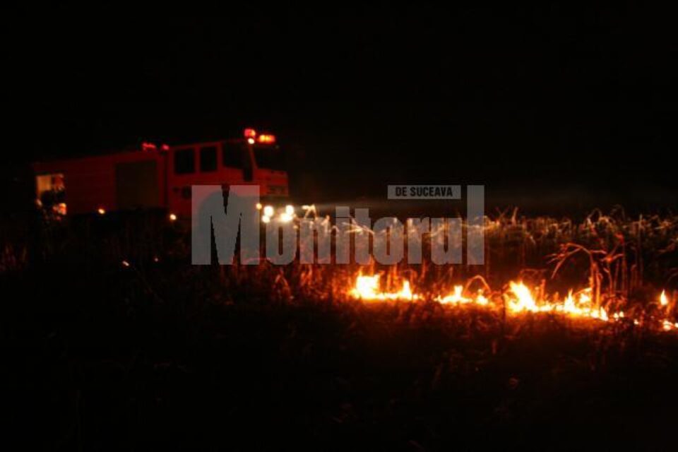 Aseară: Incendiu de proporții pe dealul Tătărași