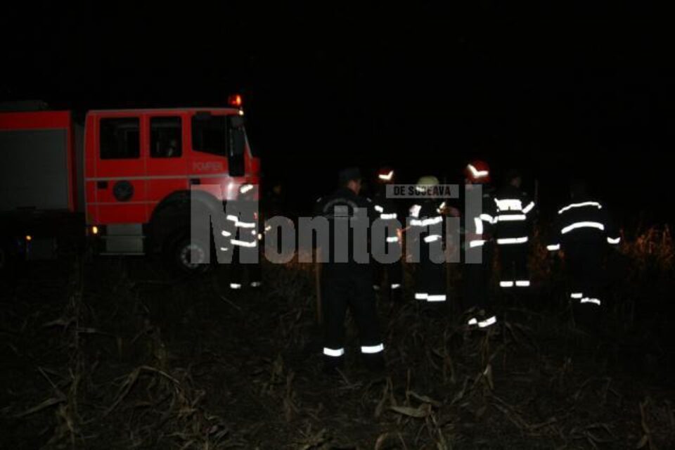 Incendiul s-a extins pe o suprafață de aproximativ zece hectare