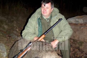 Vânătorii spanioli au împușcat 40 de mistreți din pădurile Sucevei