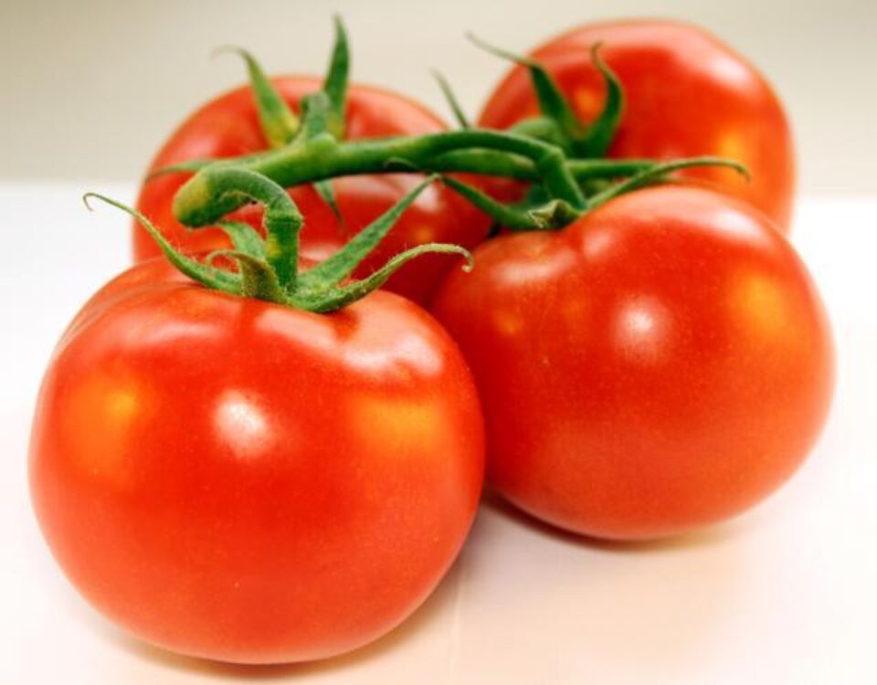 Tomatele sunt considerate alimente foarte sănătoase. Foto: JARSEM