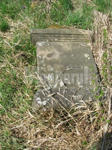 Soclul unui monument funerar din cimitirul Iacobești - Flora Br. Kapri
