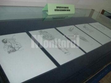 Grafica de carte realizata de Catalin Alexandru Chifan