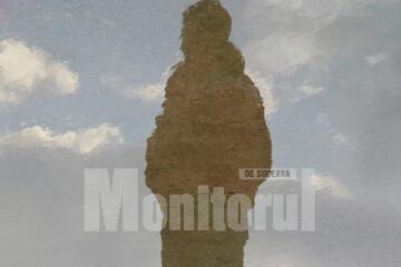 Între categoriile de persoane care încearcă să își ia viața este și cea a oamenilor activi, între 30 și 50 de ani