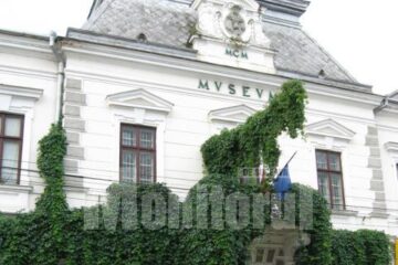 Muzeul de Istorie Suceava