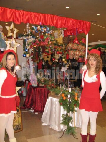 Deschidere: Sucevenii, așteptați cu surprize la Târgul Cadourilor “Bucovina” 2009