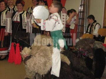 Jocul urșilor