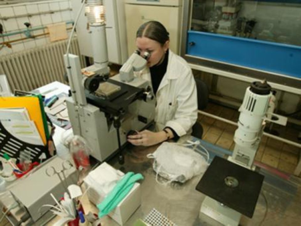 Foto: MEDIAFAX