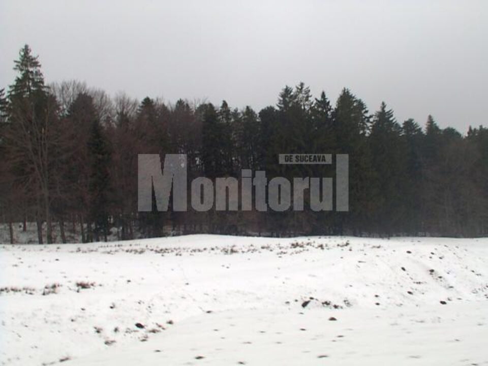Decizia de retrocedare a peste 166.000 de hectare de pădure a fost dată de aproape două săptămâni, dar punerea în posesie nu s-a făcut încă