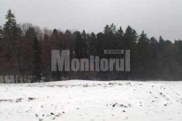 Decizia de retrocedare a peste 166.000 de hectare de pădure a fost dată de aproape două săptămâni, dar punerea în posesie nu s-a făcut încă