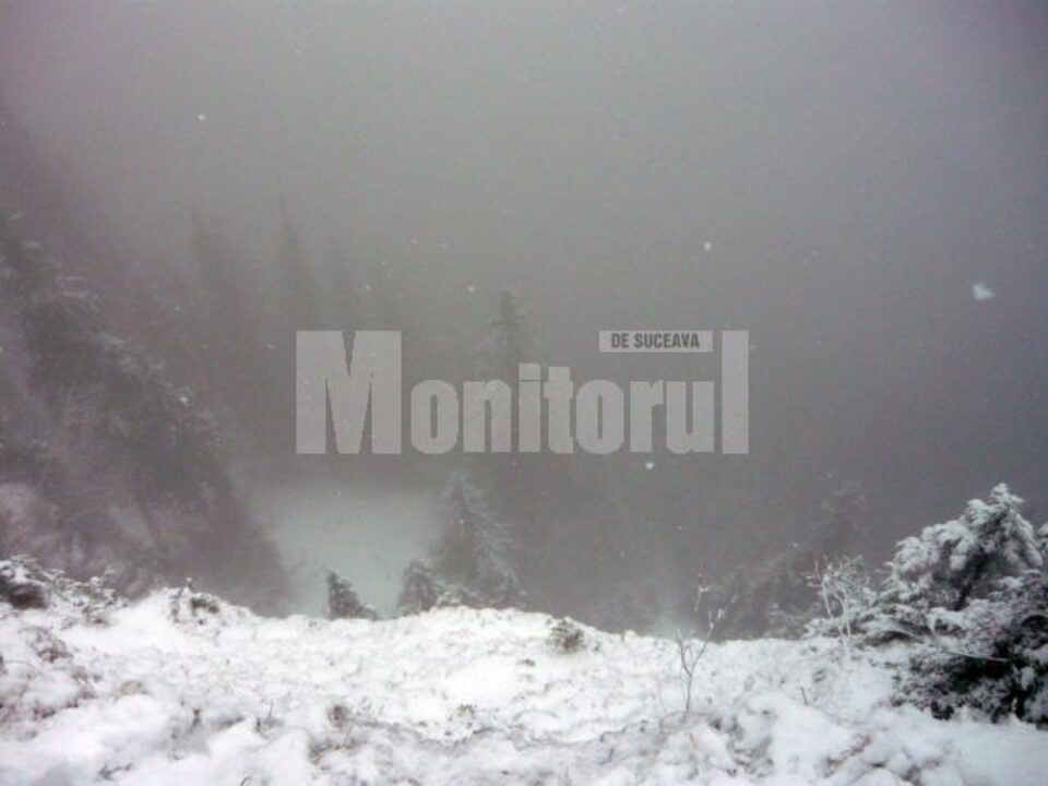 Revelion extrem: Au petrecut trecerea dintre ani în mina Rarăului