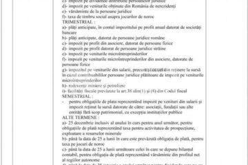 Obligații: Termenele de depunere de către firme a declarațiilor fiscale pentru anul 2010