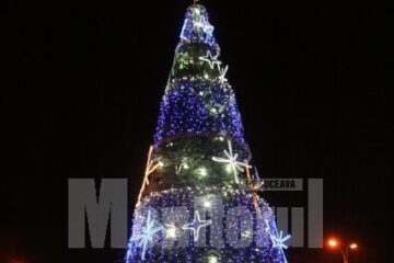 Și bradul din centrul Sucevei va fi desfăcut