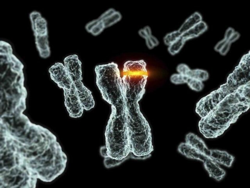 Mutație genetică asociată cu o formă agresivă de cancer de prostată
