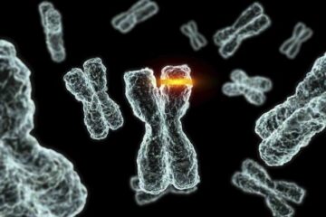 Mutație genetică asociată cu o formă agresivă de cancer de prostată