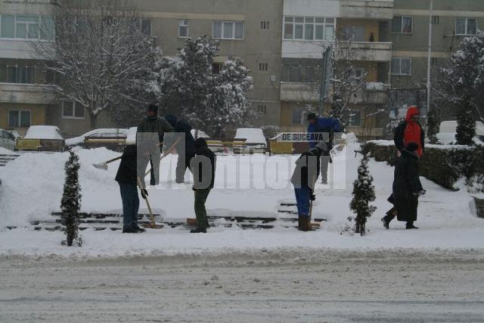 Angajatorii sunt obligați să ia măsuri pentru menținerea stării de sănătate a salariaților care lucrează în aer liber Angajatorii sunt obligați să ia măsuri pentru menținerea stării de sănătate a salariaților care lucrează în aer liber
