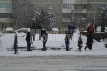 Angajatorii sunt obligați să ia măsuri pentru menținerea stării de sănătate a salariaților care lucrează în aer liber