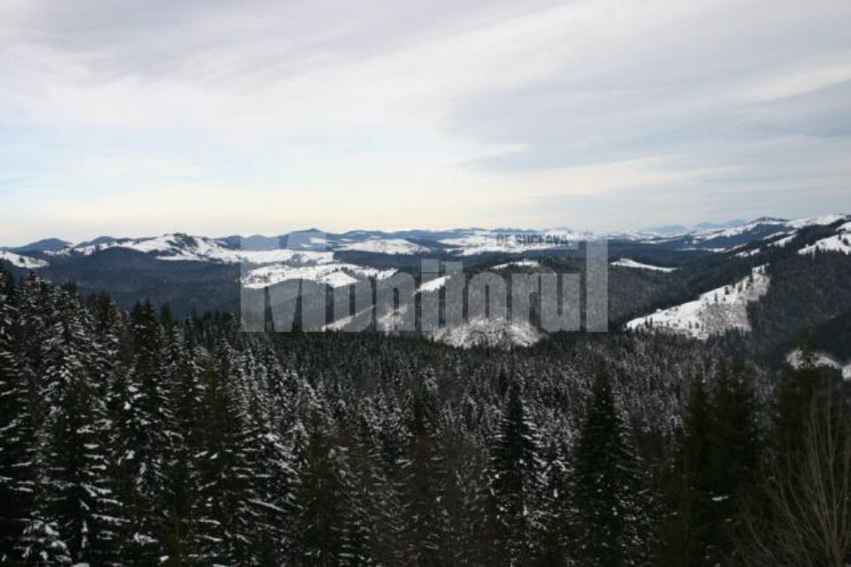 166.613 hectare de păduri urmează să intre în posesia Fondului Bisericesc Ortodox din Bucovina 166.613 hectare de păduri urmează să intre în posesia Fondului Bisericesc Ortodox din Bucovina