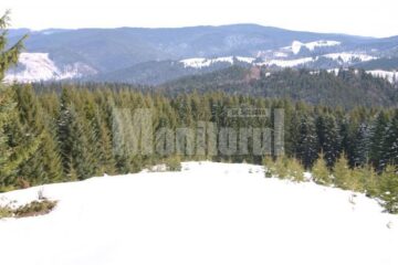 Cele 125.733,26 hectare de pădure preluate prin intermediul executorului judecătoresc Sarmis Cîmpulungeanu provin de la mai multe ocoale silvice din județ