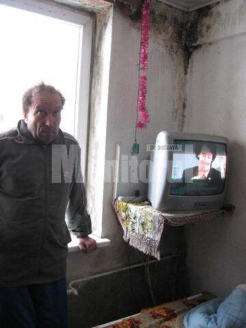 Locuință invadată de mucegai