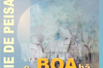 „o BOAbă de culoare”