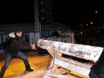 Concurs de taiat busteni