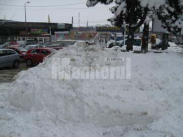 Munți de zăpadă
