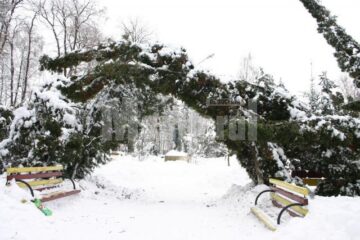 Discobolul, sub arcul vremii