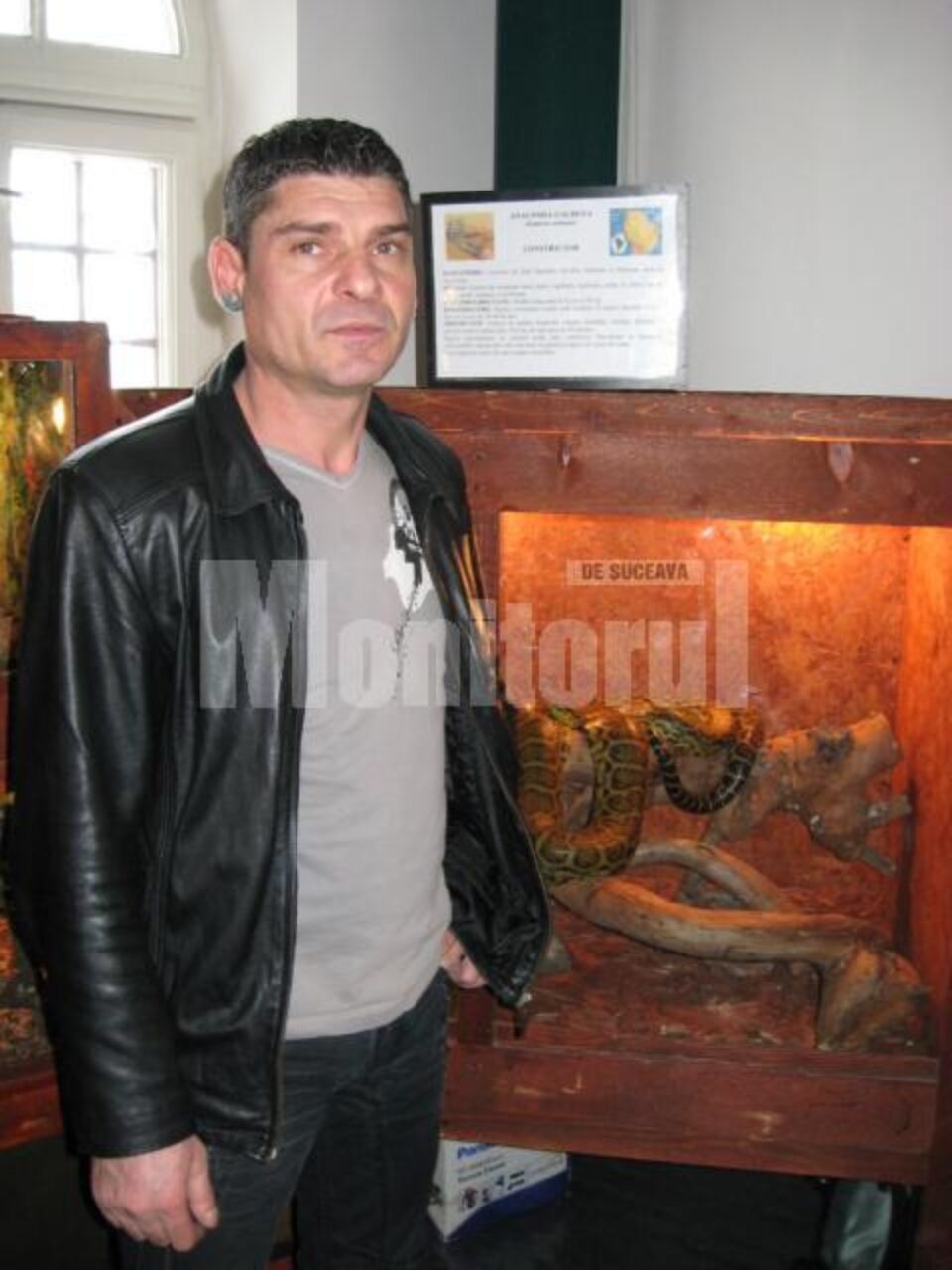 Florin Sîrb lângă tarrariul cu anaconda galbenă