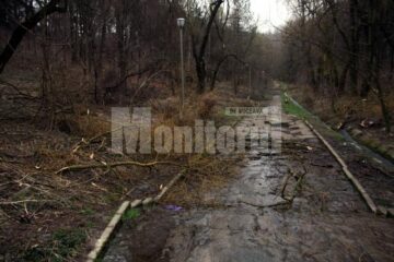 Atenție: PD-L se concentrează pe Parcul Șipote, să-l dea la primărie