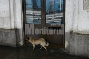 Trist: Simboluri ucise: Gara Ițcani