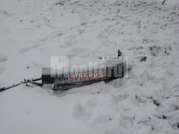 Terifiant: Patru tineri morți, striviți de un copac după un teribil accident