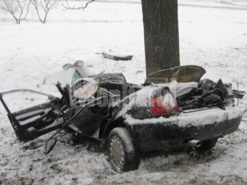 Terifiant: Patru tineri morți, striviți de un copac după un teribil accident