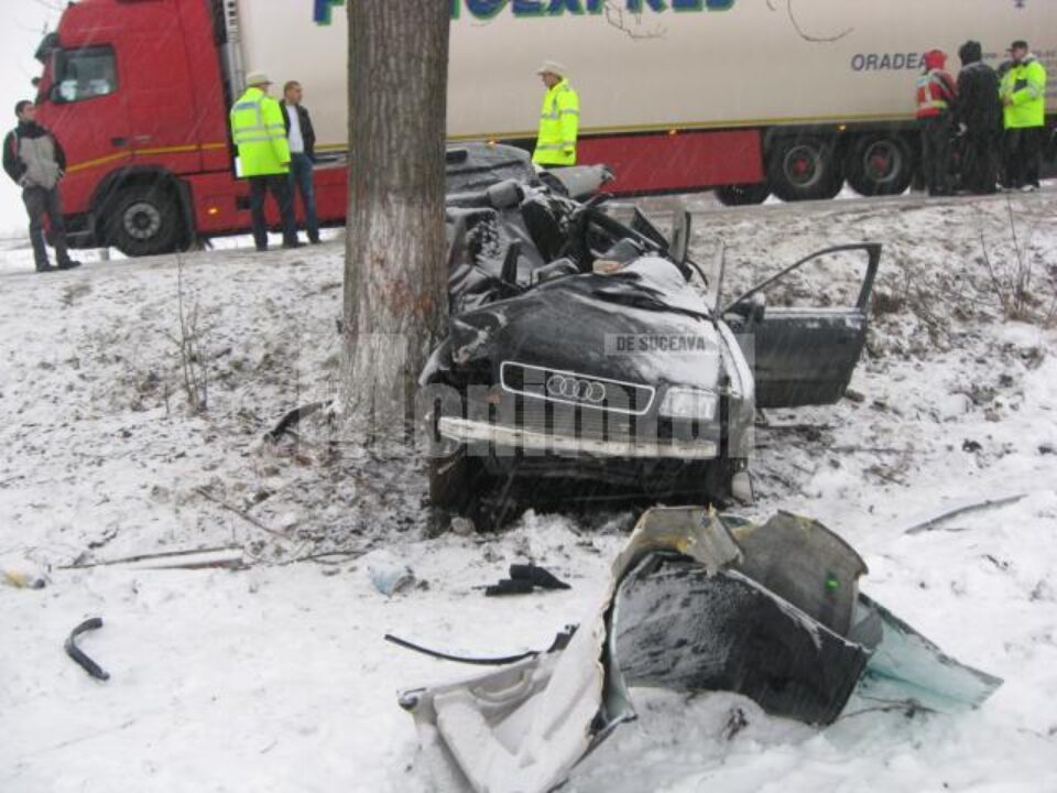 Autoturismul Audi aproape s-a încolăcit în jurul copacului de care s-a izbit