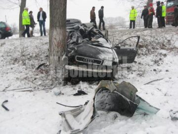 Terifiant: Patru tineri morți, striviți de un copac după un teribil accident