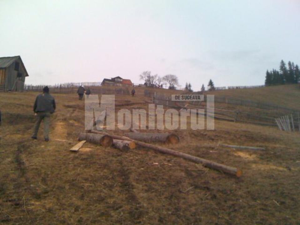 Cadouri din suflet: Două familii extrem de sărace, ajutate de angajații Direcției Silvice Suceava