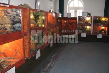 Natura: Expoziția „Reptile vii”