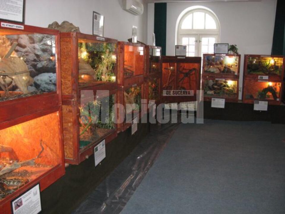Natura: Expoziția „Reptile vii”