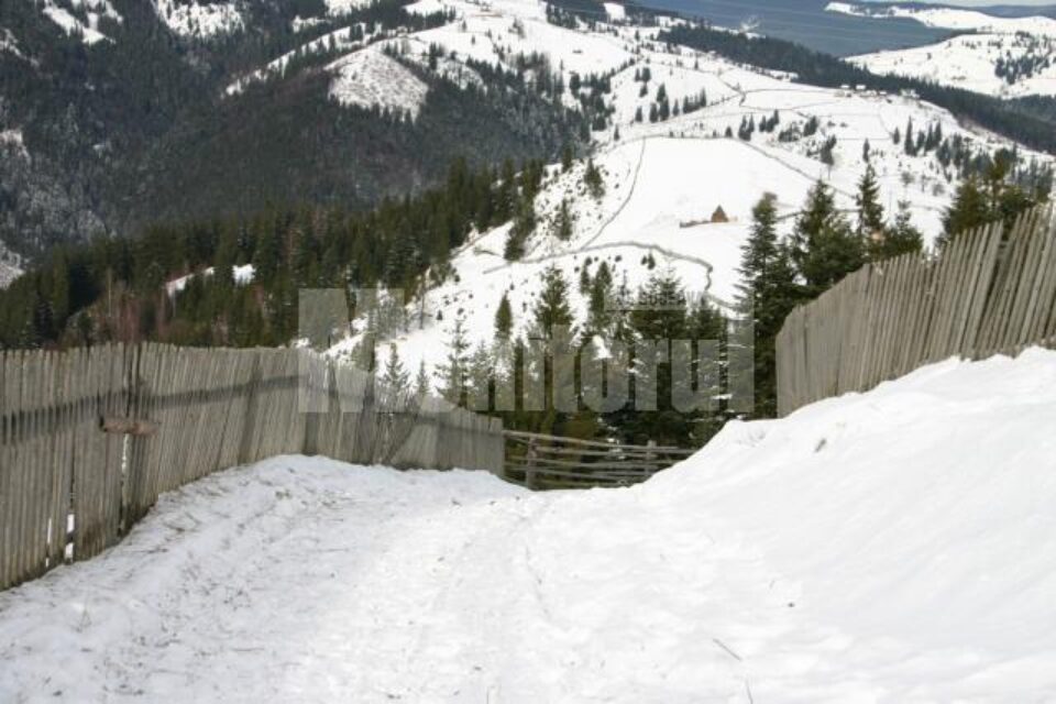 Procesul de electrificare a gospodăriilor neracordate la rețeaua de energie electrică va fi finalizat în 2012 Procesul de electrificare a gospodăriilor neracordate la rețeaua de energie electrică va fi finalizat în 2012