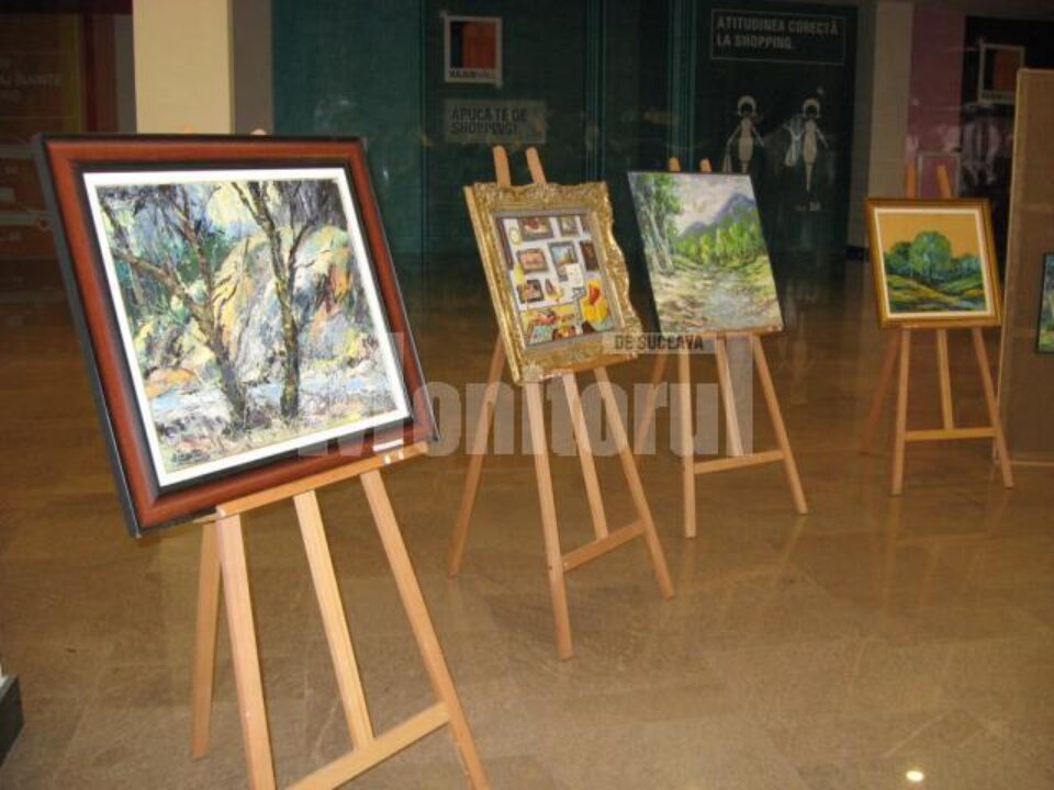 Frontul expozițional de la parterul Iulius Mall Suceava