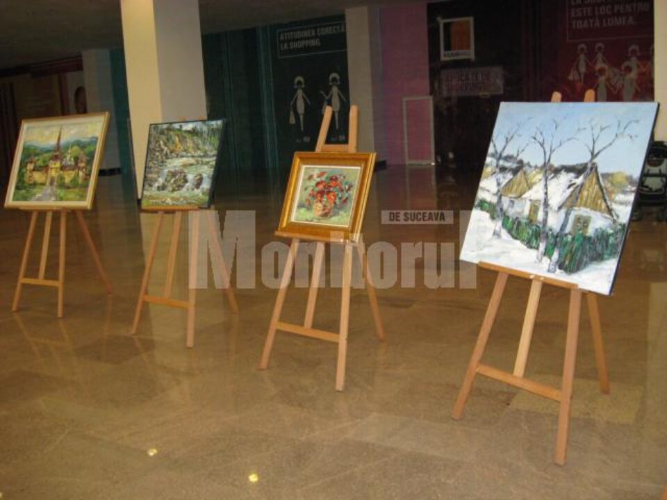 Frontul expozițional de la parterul Iulius Mall Suceava