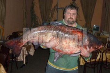 Rădăuțeanul Cătălin Bîndiu a prins un crap chinezesc de 47,5 kg, lung de 1,4 m