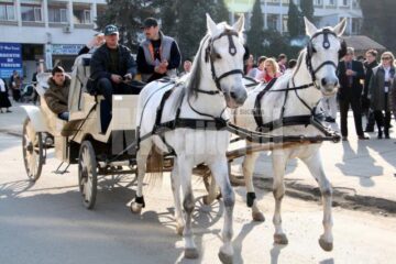 Orar: Plimbarea cu trăsura de la Cetate la biserica UNESCO din Pătrăuți durează 5 ore