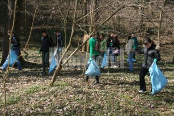 Ecologizare: Peste 1000 de saci de gunoi adunați din parcul Șipote