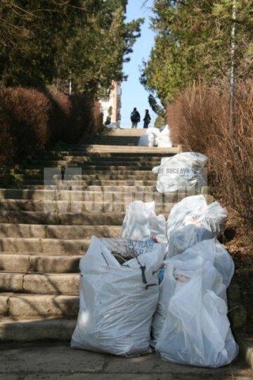 Ecologizare: Peste 1000 de saci de gunoi adunați din parcul Șipote