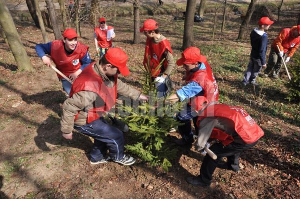 250 de persoane au participat la plantarea a peste 800 de arbori în parcul Șipote